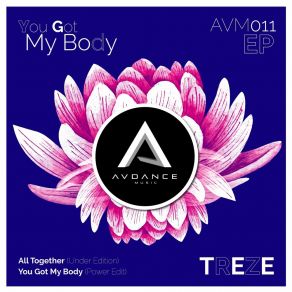 Download track You Got My Body (Power Edit) Treze