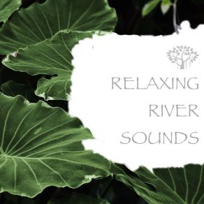 Download track Nature Sounds - Chilling Weekend Streams