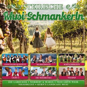 Download track Um Vieri Polka Schülcherleitn