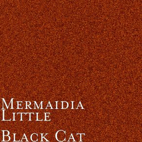 Download track Little Black Cat (Radio Edit) Mermaidia