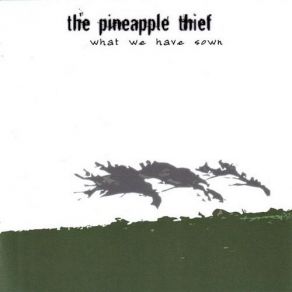 Download track Deep Blue World The Pineapple Thief