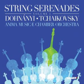 Download track Serenade In C Major, Op. 10 (Arr. D. Sitkovetsky) - V. Finale. Rondo Anima Musicae Chamber Orchestra