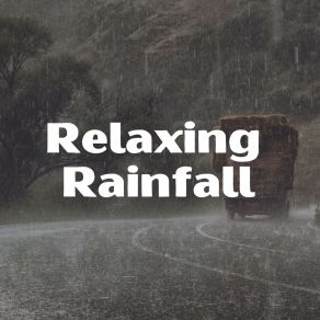 Download track Rain For Meditation, Pt. 18 Rain Sounds Nature Collection