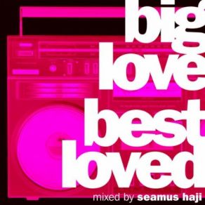 Download track Seamus Haji'S Big Love Best Loved Mix (Mixed) SEAMUS HAJI