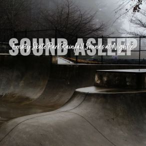 Download track Empty Skate Park Rainfall Sounds At Night, Pt. 6 Elijah Wagner