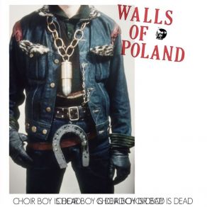 Download track The Modern World Walls Of Poland