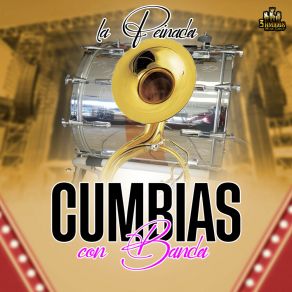 Download track La Peinada The Banda