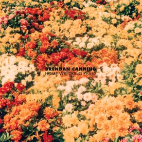 Download track Baby's Going Her Own Way Brendan Canning