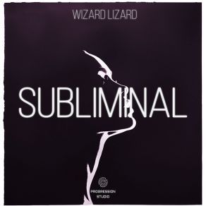 Download track Subliminal (Radio Edit) Wizard Lizard