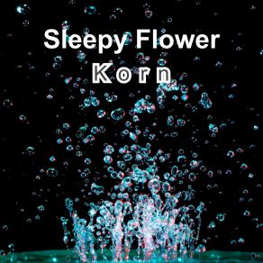 Download track Koof Sleepy Flower