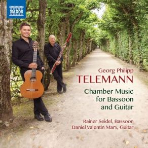 Download track 15. Rainer Seidel - III. Andante Georg Philipp Telemann