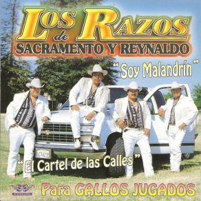 Download track Soy De La Sierra Los Razos