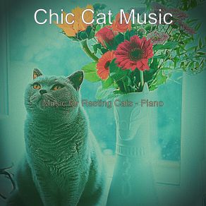 Download track Fabulous Backdrops For Relaxing Your Cat Chic Cat Music