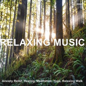 Download track Relaxing On The Sea Relaxing Music Therapy