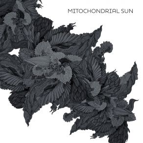 Download track Ur Tehom Mitochondrial Sun