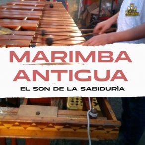 Download track Coty Diaz Marimba Antigua