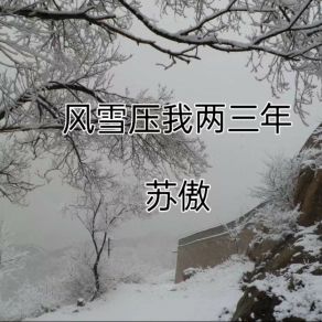 Download track 雪中悍刀行 苏傲