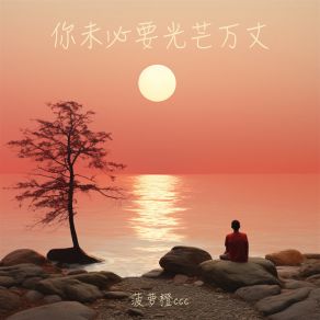 Download track 你未必要光芒万丈 (伴奏) 菠萝橙ccc