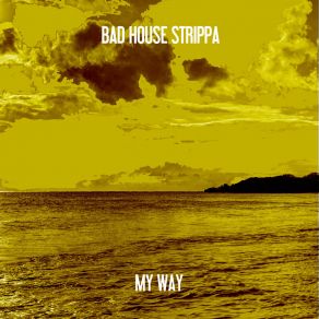 Download track My Way (Nu Ground Foundation Classic Mix) Bad House Strippa