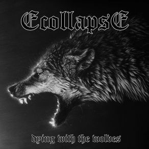 Download track The Rise, The Fall Ecollapse