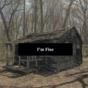 Download track I'm Fine Noah Hanover