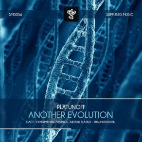 Download track Another Evolution (Original Mix) Platunoff