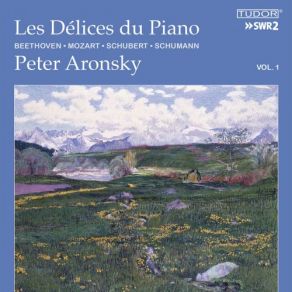 Download track Piano Sonata No. 13 In A Major, Op. 120, D. 664: I. Allegro Moderato Peter Aronsky