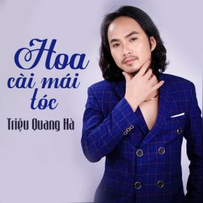 Download track Sao Chua Thay Hoi Am Trieu Quang Ha