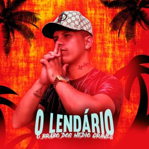 Download track Cachorro Brabo Dj Todynho Mix