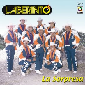 Download track Mi Adolescencia A Los Cuarenta Laberinto