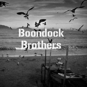 Download track Turn On Your Lights Boondock Brothers