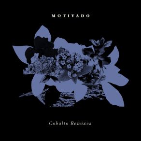 Download track Cobalto (Syntrovert Remix) Motivado