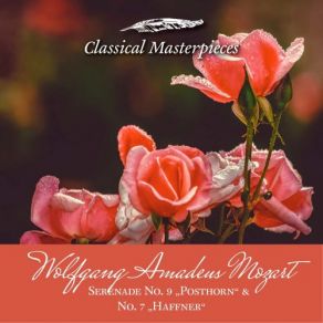 Download track Serenade No. 7 KV250 In DMajor Haffner Rondo. Allegro The Academy Of St. Martin In The Fields