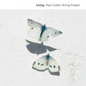 Download track Sleep In My Arms Paul Cutlan String Project