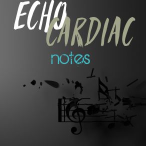 Download track Alarm (Original Mix) Echo Cardiac