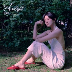 Download track Moonlight (Instrumental) Park Soo Jin