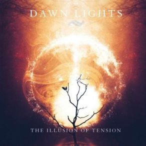 Download track Right Now Dawn Lights