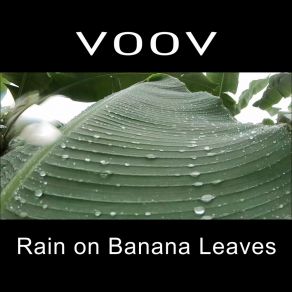 Download track Rain On Banana Leaves Voov