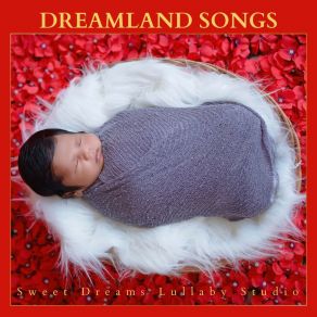 Download track Lullabies For Kids Sweet Dreams Lullaby Studio