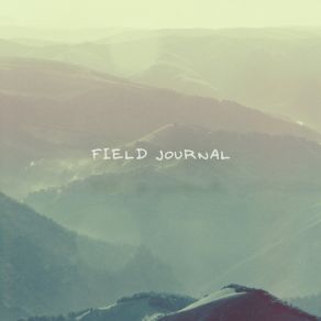 Download track Quiet Mountain (Forest) Field JournalThe Forest