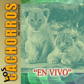 Download track No Llores Moorenta Los Cachorros De Juan Villarreal