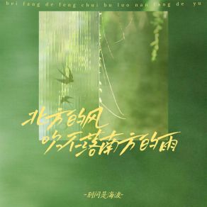 Download track 北方的风吹不落南方的雨 别问是海波