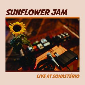 Download track Ela Saiu (Live) Sunflower JamAllan Massay