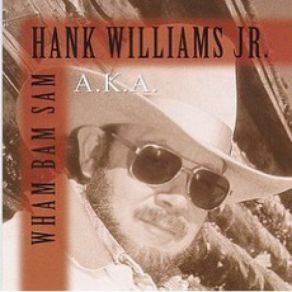 Download track Houston, We Have A Problem Hank Williams, Jr.