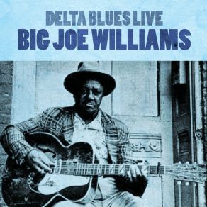 Download track Put On Your Nightcap Baby (Live) Big Joe Williams