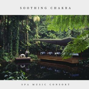 Download track Spa Background Music Spa Music Consort