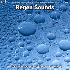 Download track Regen Sounds, Pt. 42 Naturgeräusche