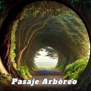 Download track Paseo En La Arboleda Josefina Pino Melodías Tranquilizadoras