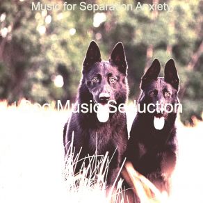 Download track Magical Puppies Dog Music Seduction