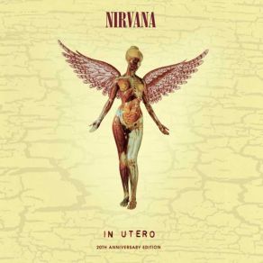 Download track Heart-Shaped Box Nirvana